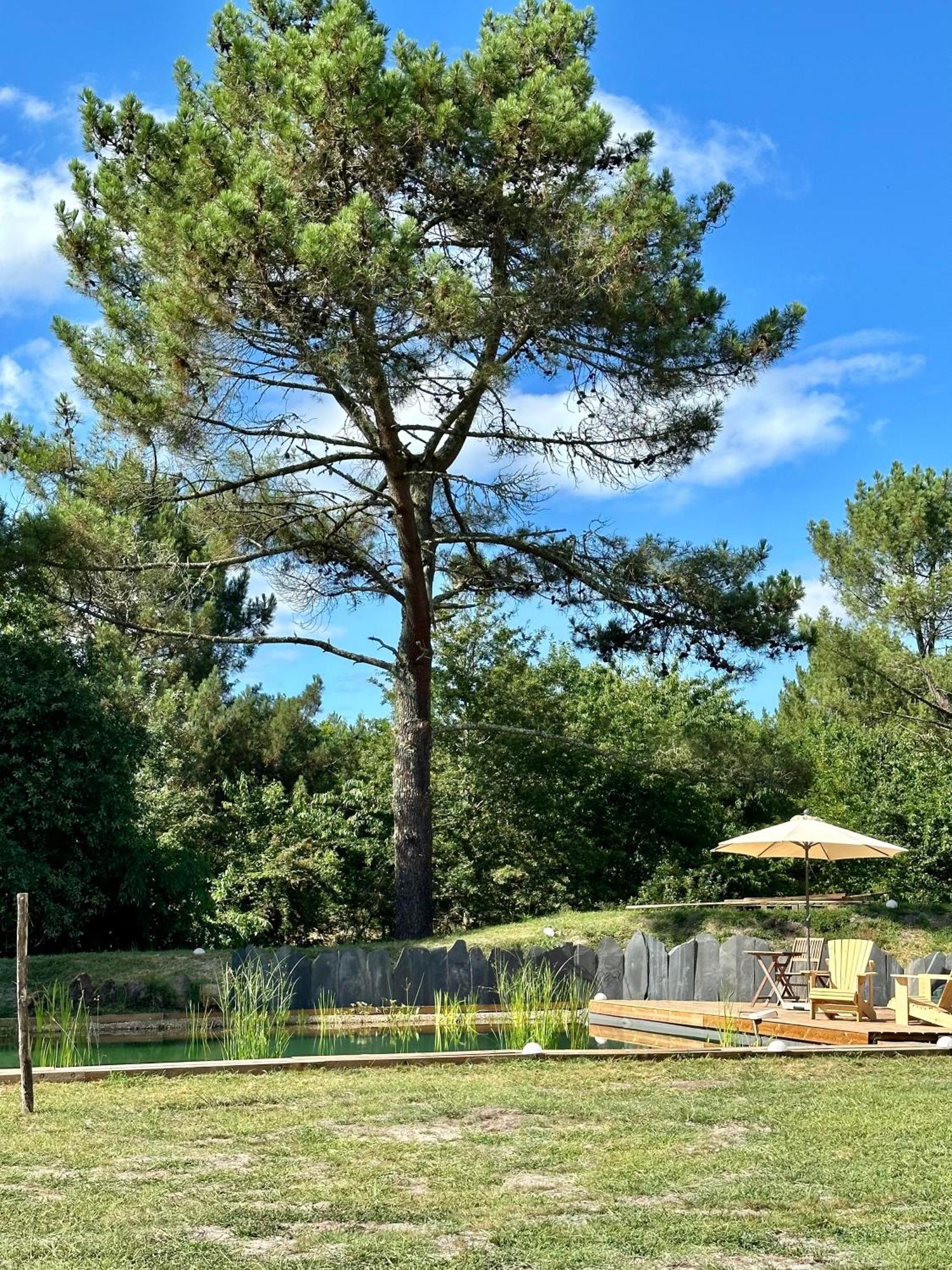 Maison Magnolia Onesse-et-Laharie Екстериор снимка